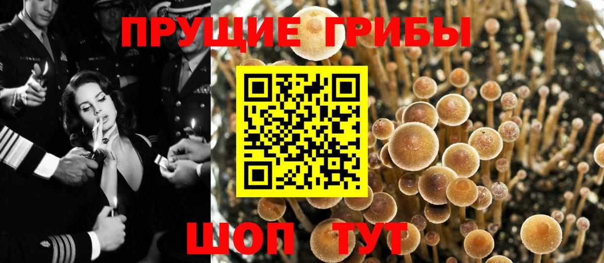 Галлюциногенные грибы Magic Shrooms  Галлюциногенные грибы прущие грибы  Вход с VPN  Калининград 